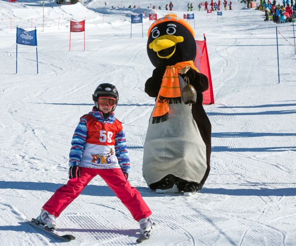 Pingo feuert die kleinen Skirennfahrer an!